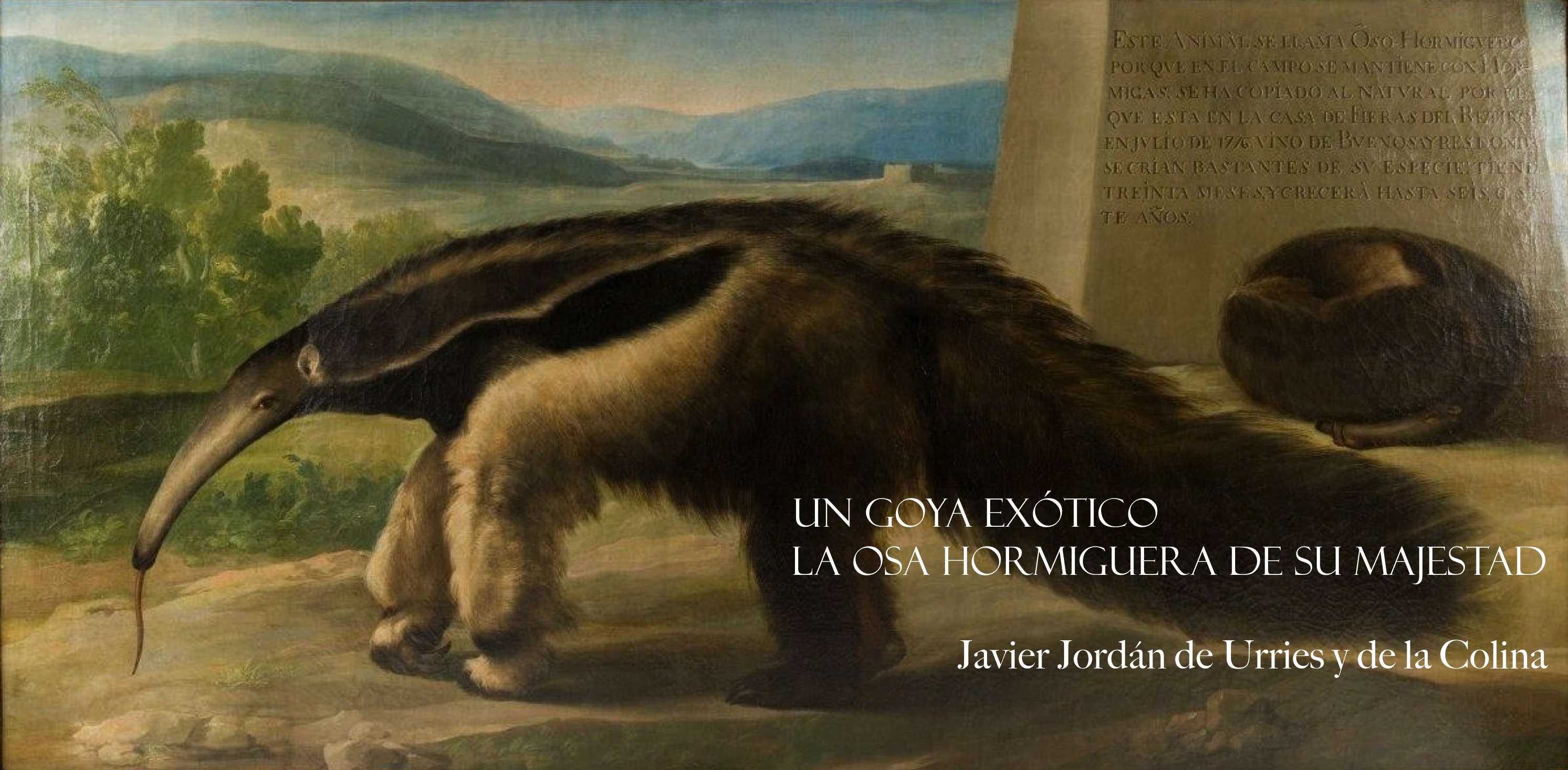 Un Goya exótico. La Osa Hormiguera de Su Majestad