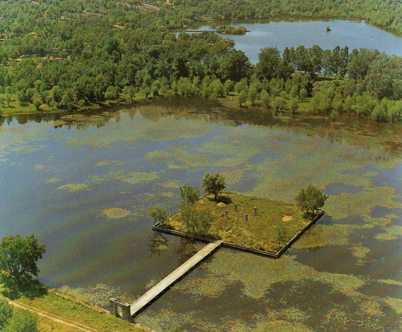 Vista aérea del estanque principal de La Fresneda.